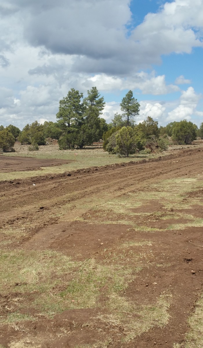 LuxTiny - Tiny Home Community Road Development in Lakeside, Arizona.