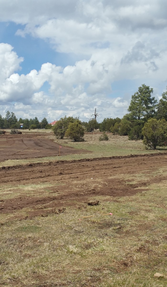 LuxTiny - Tiny Home Community Road Development in Lakeside, Arizona.