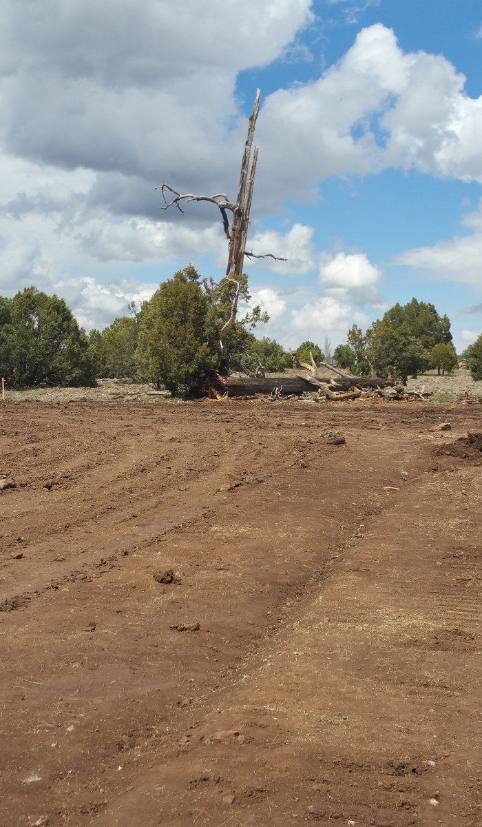 LuxTiny - Tiny Home Community Road Development in Lakeside, Arizona.