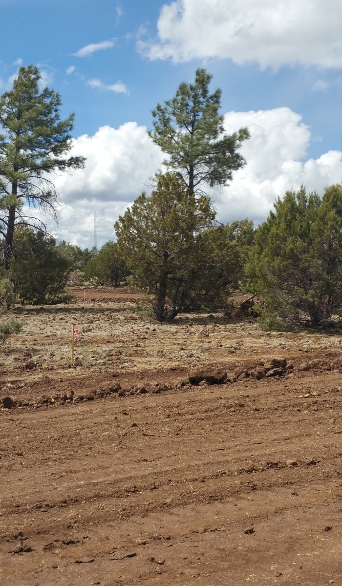 LuxTiny - Tiny Home Community Road Development in Lakeside, Arizona.