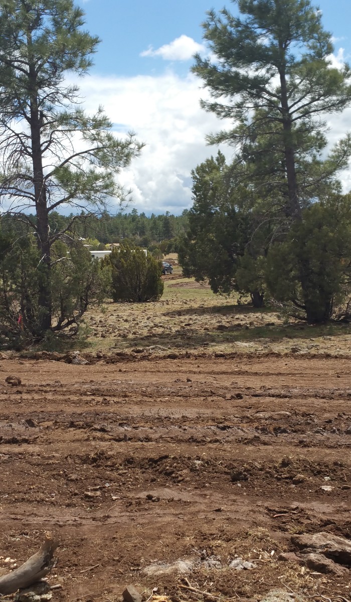 LuxTiny - Tiny Home Community Road Development in Lakeside, Arizona.